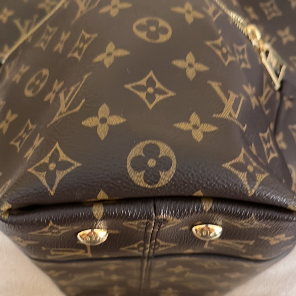 Genuine Louis Vuitton Bag - Picture 7 of 13